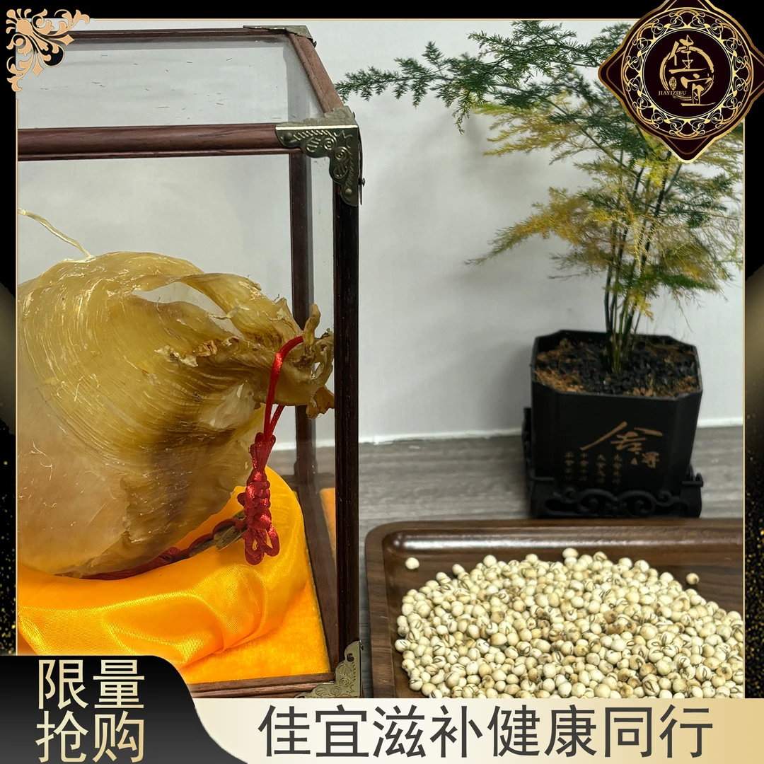 【佳宜鱼胶】广东 钏珼