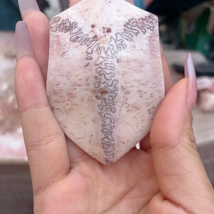 养殖鹿骨三界牌子