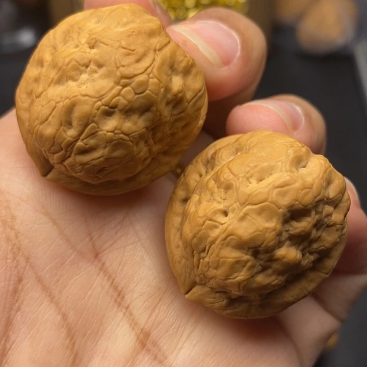 把件文玩核桃31尺金刚鹦鹉