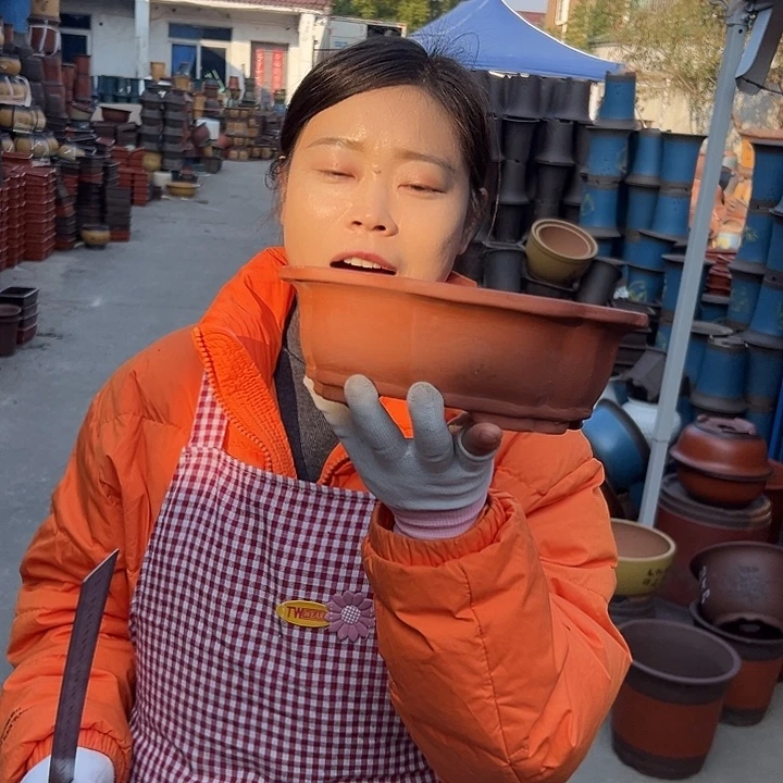 22红莲花花盆花盆花盆