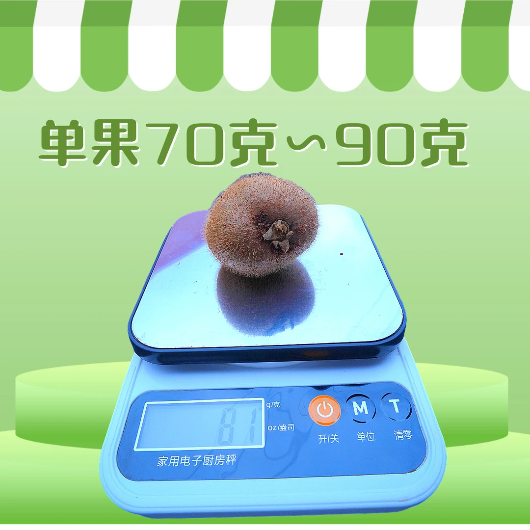 直播超级福利正宗陕西眉县徐香猕猴桃单颗70~90克大果