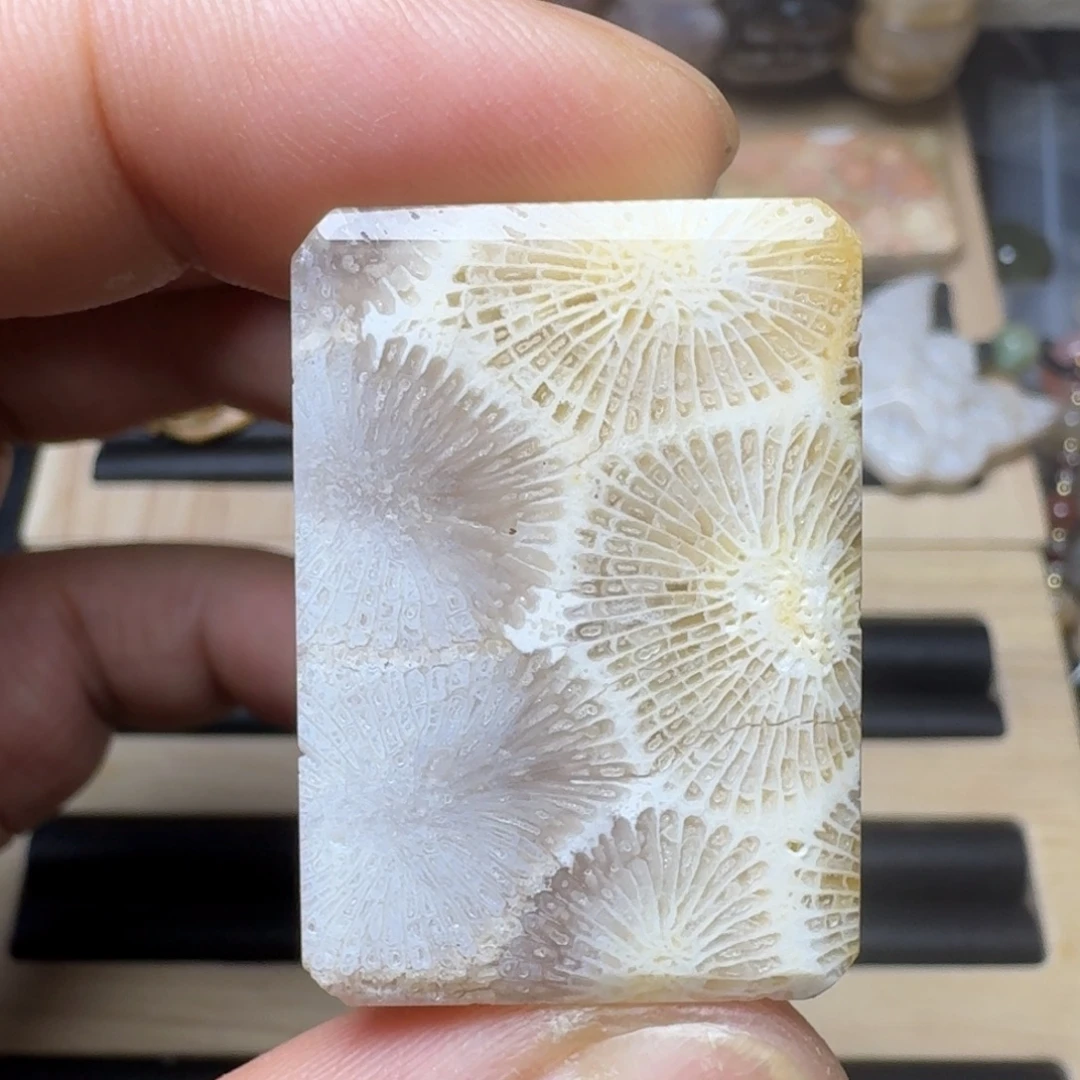 未镶嵌纯天然色有机玉石保真色硅化玉