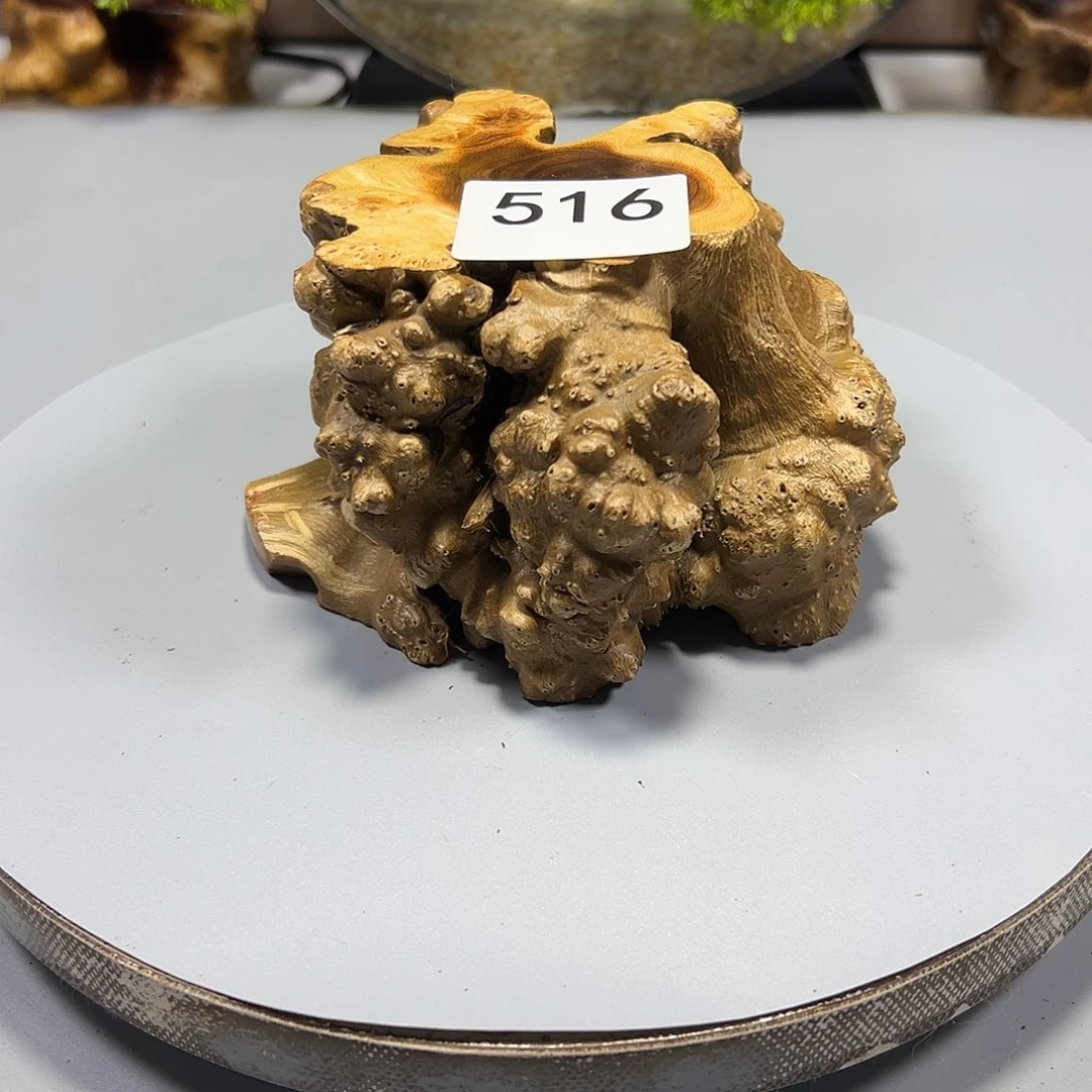 大果紫檀（缅甸花梨）青*端