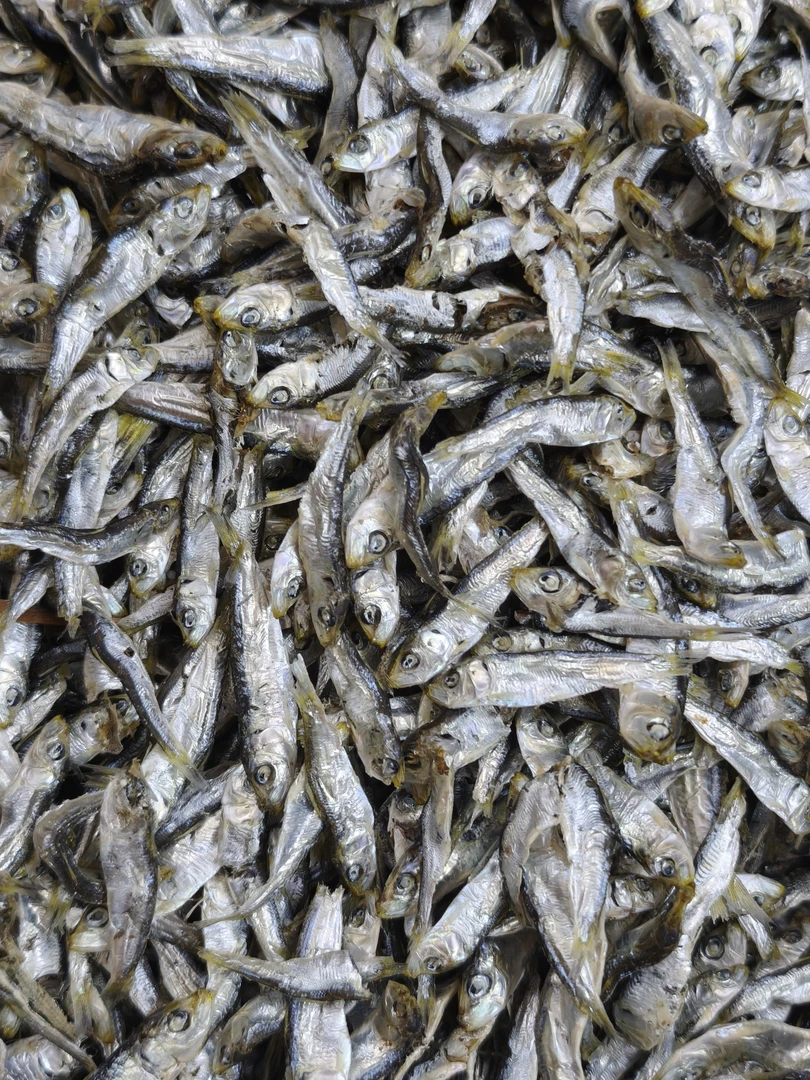 汕尾本港小姑鱼仔  青兰仔脯 淡囗鲜甜  可即食很好吃。