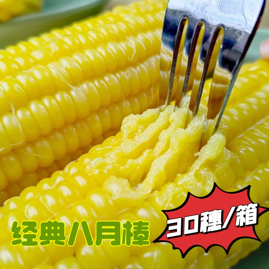 豆都30穗东北玉米甜糯粘苞米真空包装即食粗粮早餐营养黄糯粘苞米
