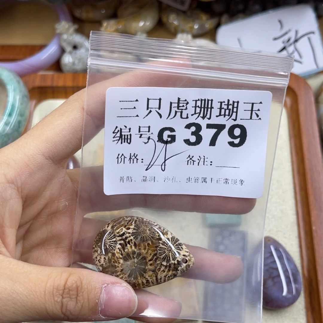 R***a硅化珊瑚（珊瑚玉）未镶嵌h