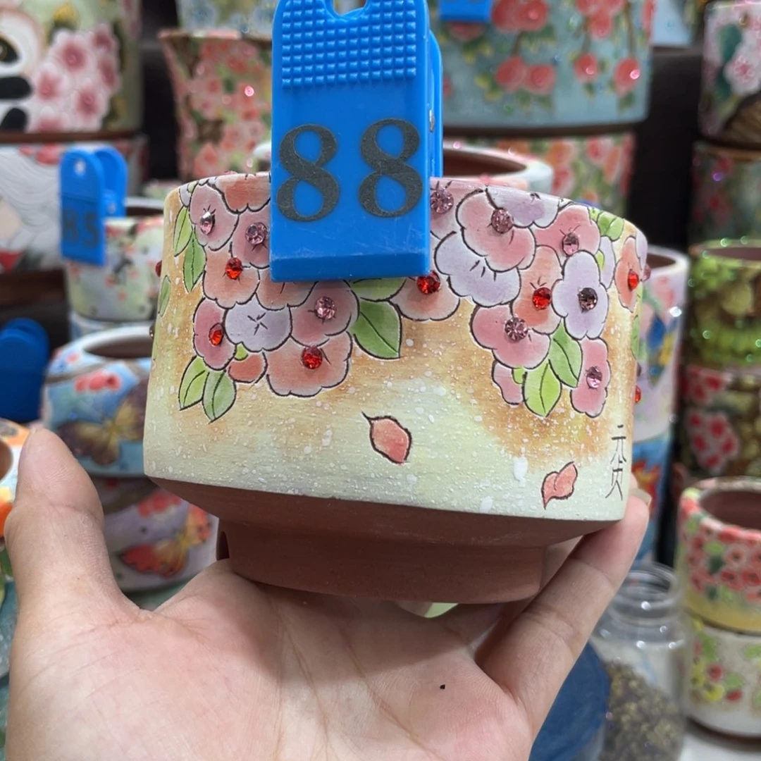夏*多肉花盆顶冠花盆