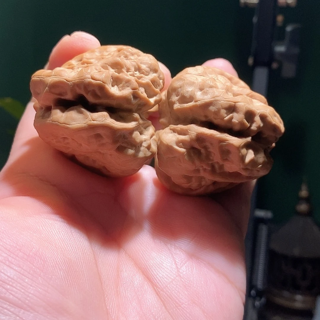 把件文玩核桃50肚三角箭毒蛙