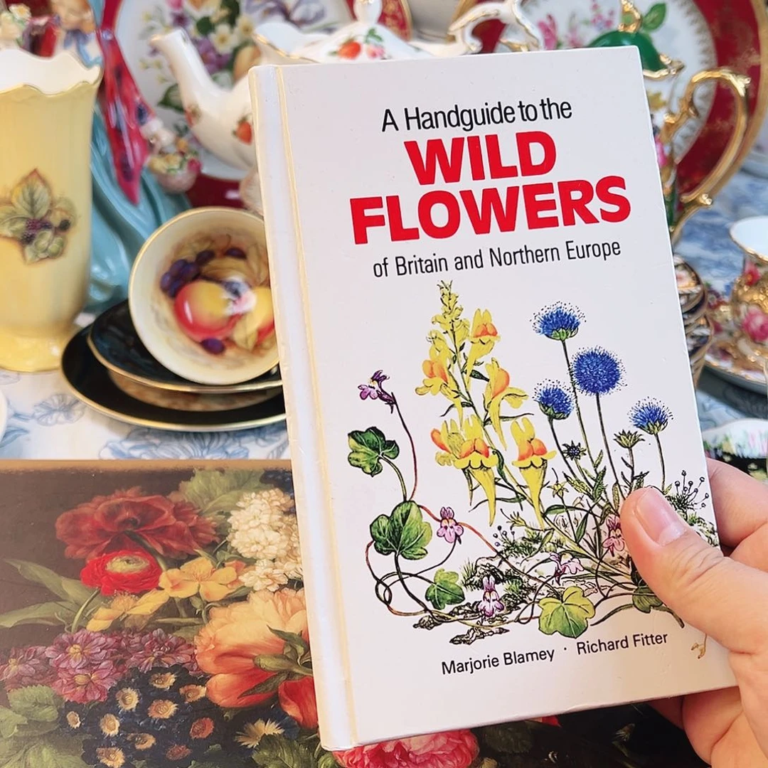 杯哈哈哈哈哈哈哈哈哈