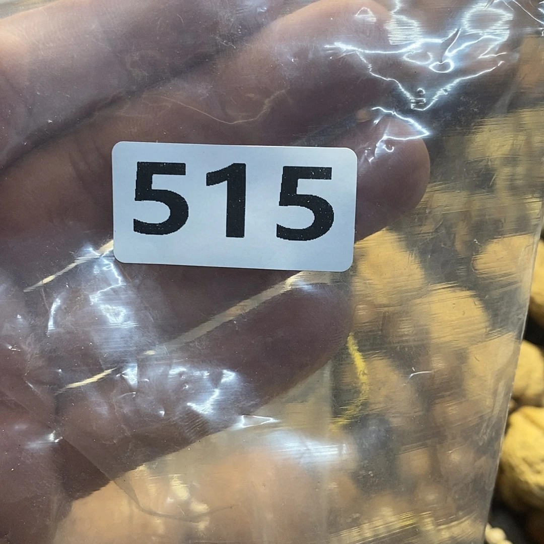 吊坠橄榄核小*文化交流