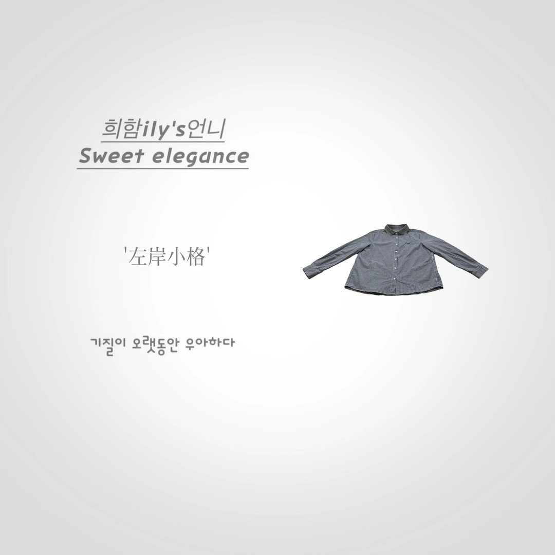 【左岸小格】New.VIP粉丝.韩版设计师刺绣图案小格纹百搭高级衬衫