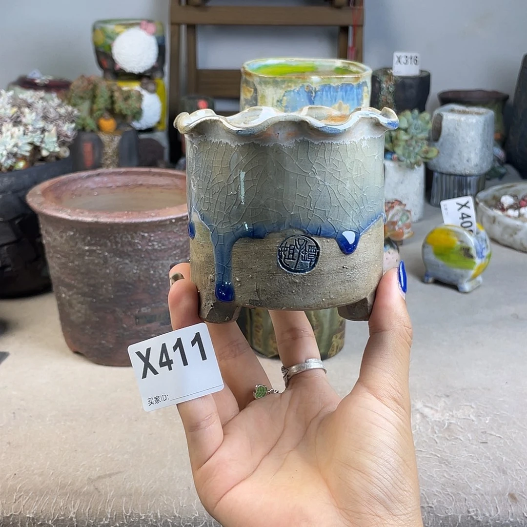 孤品 百搭 内口7.8景天 球盆