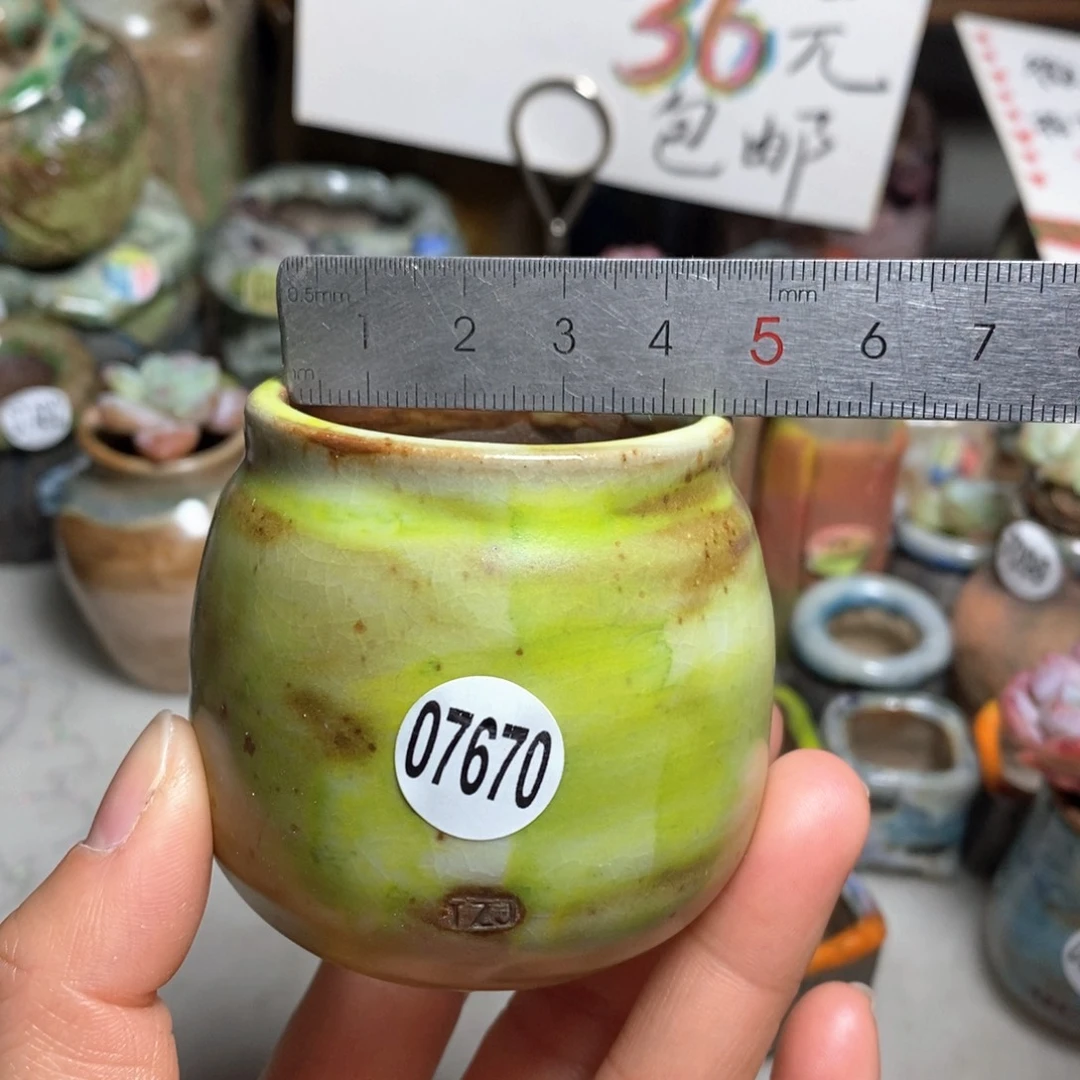 花盆拍5送一个小礼物