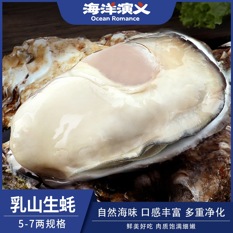 【海洋演义】乳山生蚝 （5-7两/个）7.5斤 商城专享