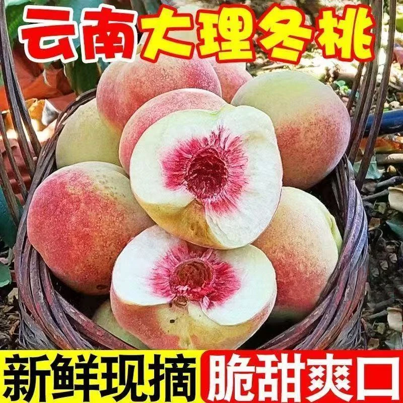 大理脆甜冬桃冬雪多汁离核新鲜应季现摘现发高山