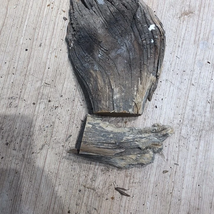 有机玻璃杰****一太行崖柏