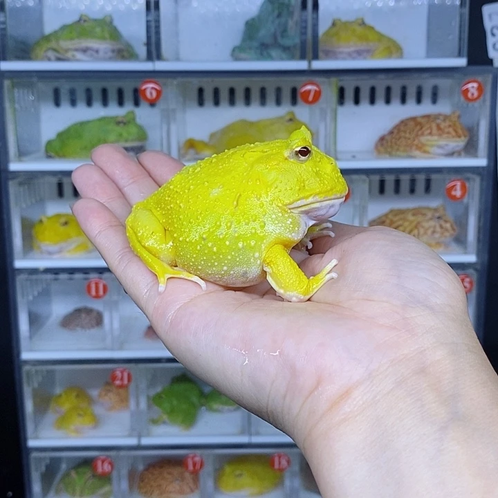 特价秒杀活动超给大家