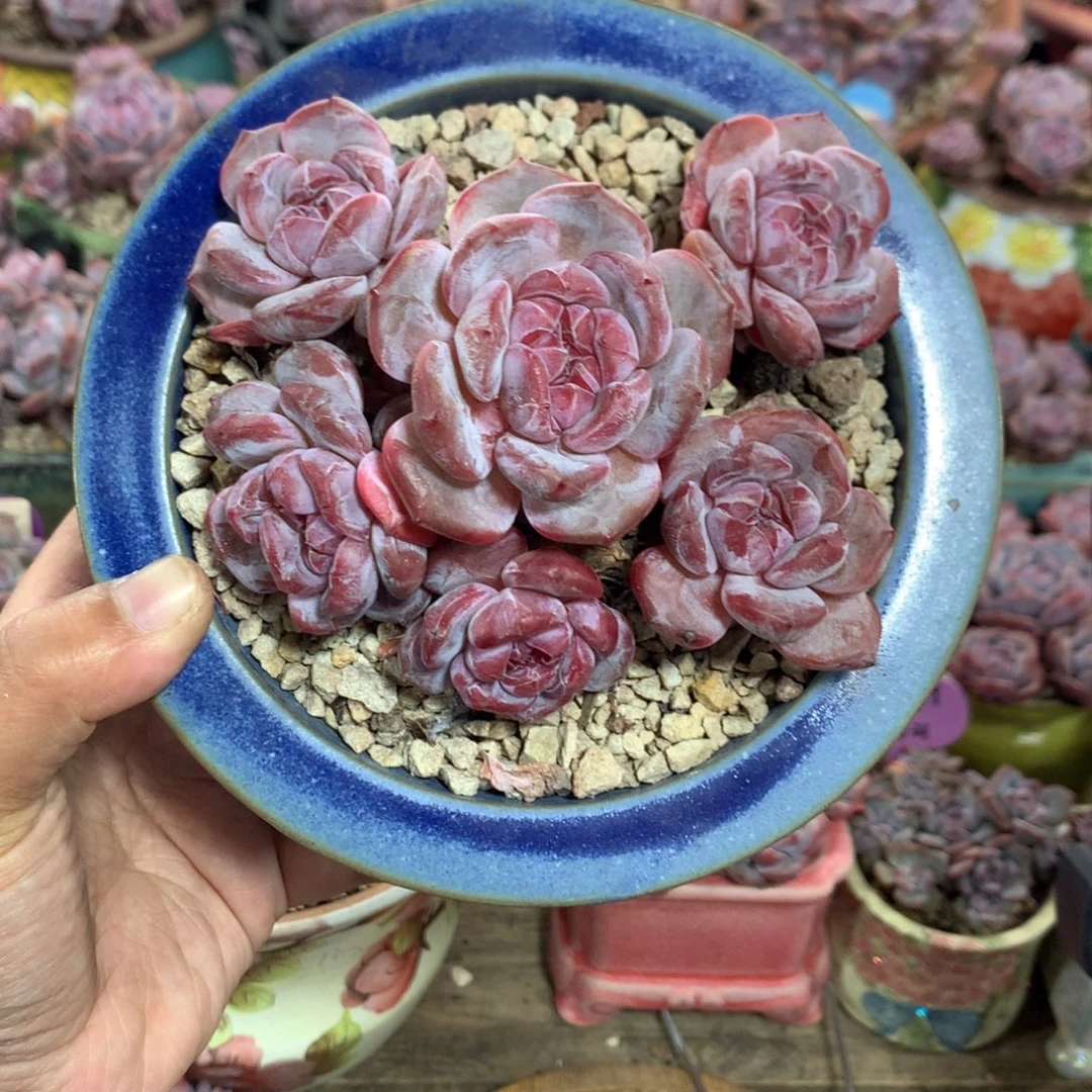 哈哈哈哈哈哈哈哈哈哈哈哈