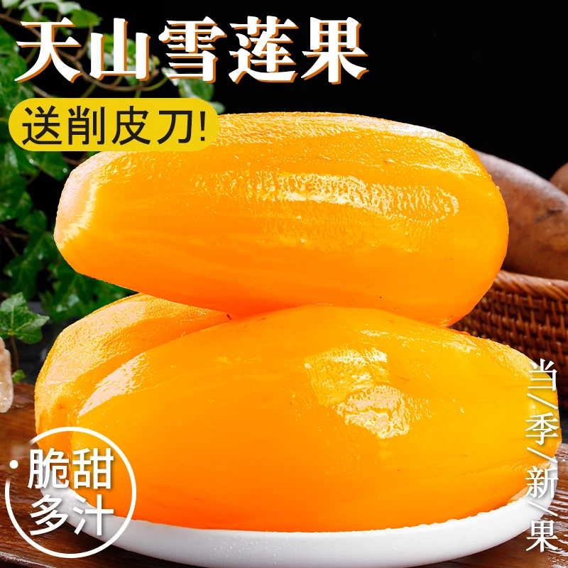 云南天山雪莲果新鲜水果蔬菜黄心大果当季应季整箱产地直发
