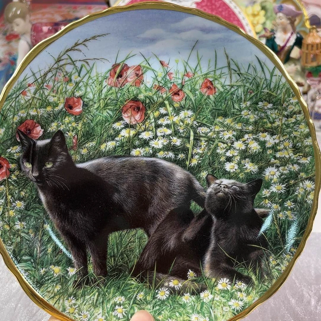 瓷片瓷器欧瓷咖啡杯水晶杯