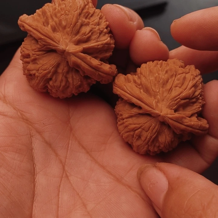 核桃白狮子42尺核桃