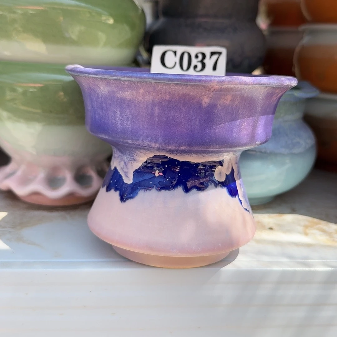 037号炖肉植物茎in