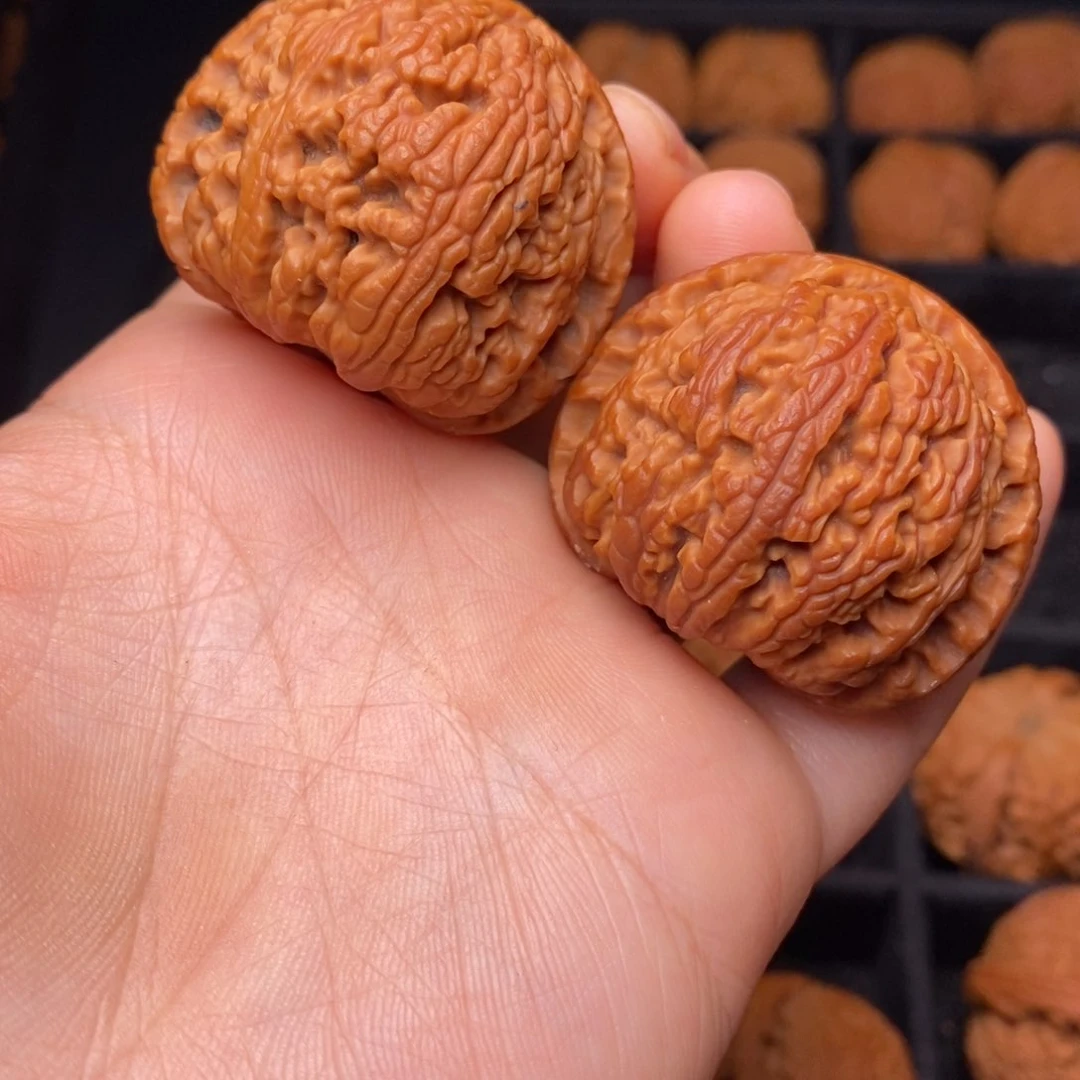 文玩核桃把件秦岭野生核桃