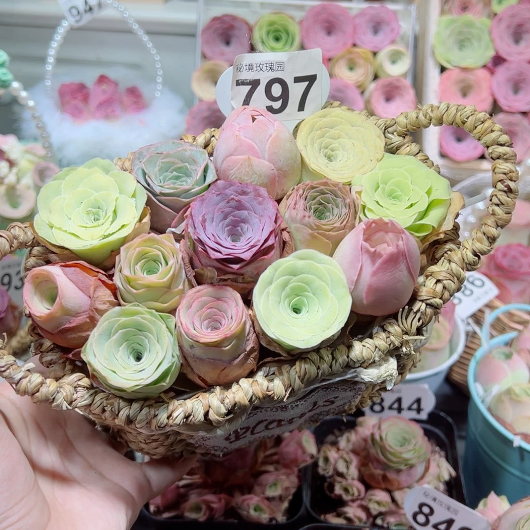 797藤编双耳花篮组合。