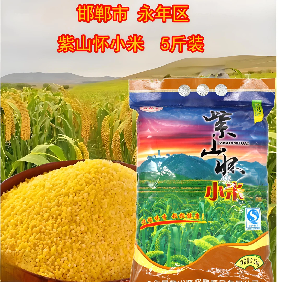 永年区永合会张边紫山怀小米黄小米小米粥小米5斤装