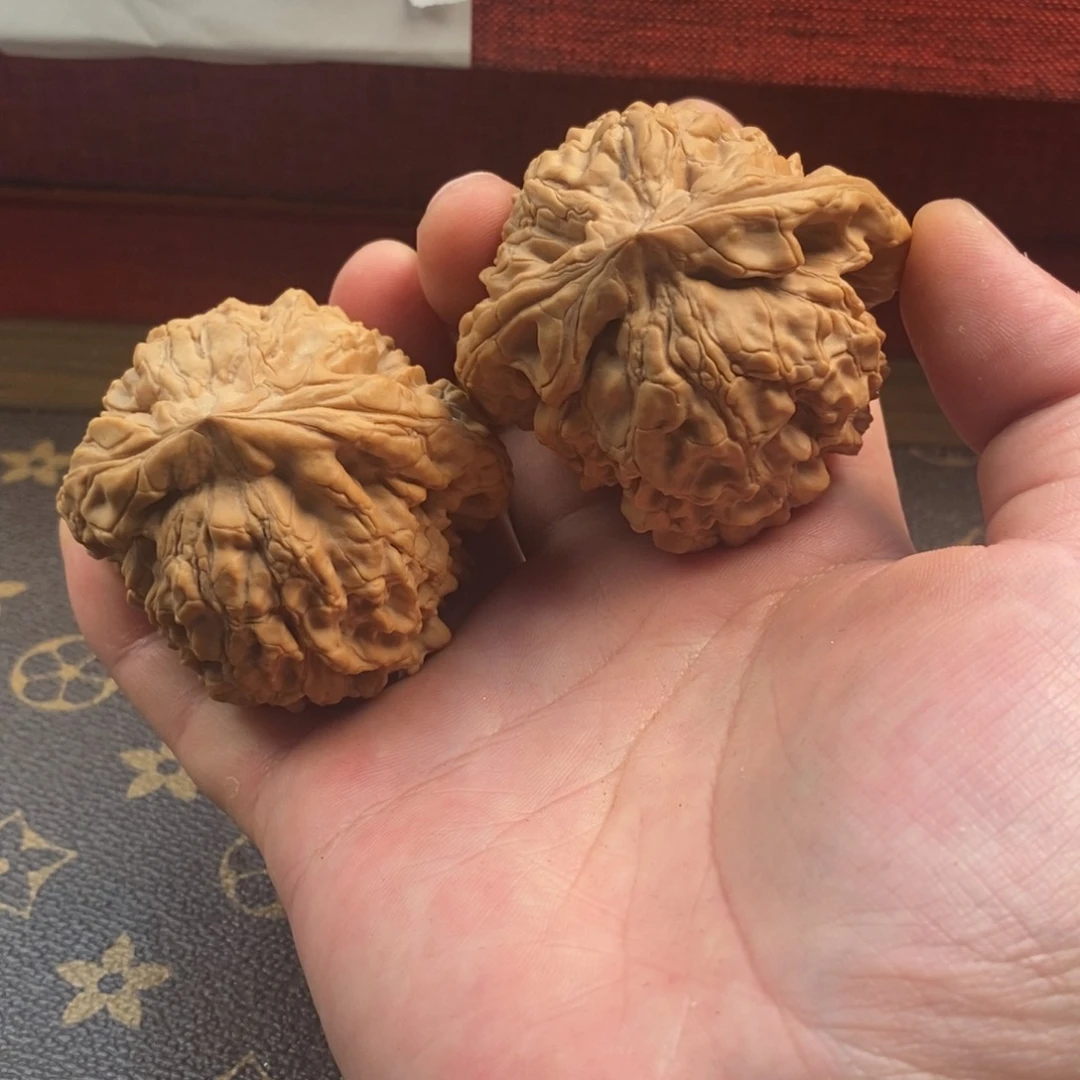 文玩核桃精品对龙鼎