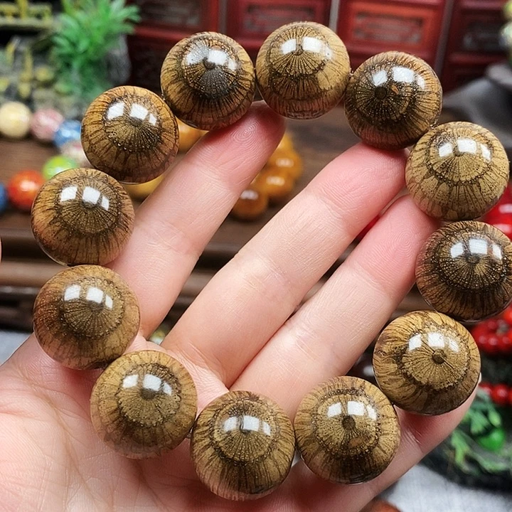 手串/手链藤类买麻藤