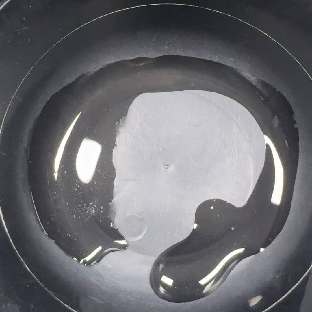 蛋龟不分公母蛋龟