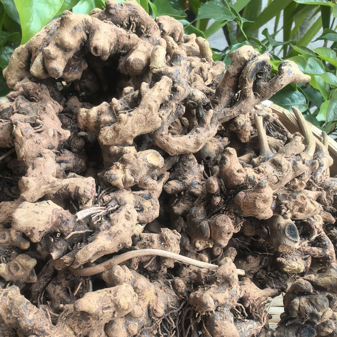 【阿海精选】土特产猫爪草