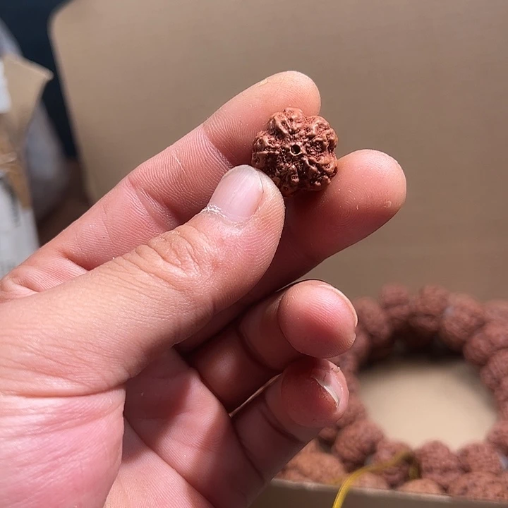 吊坠金刚菩提16尺寸原生态霸王花