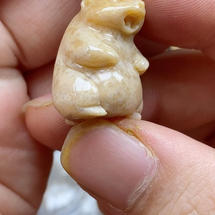 颈饰未镶嵌硅化珊瑚（珊瑚玉）壁**仞小摆件