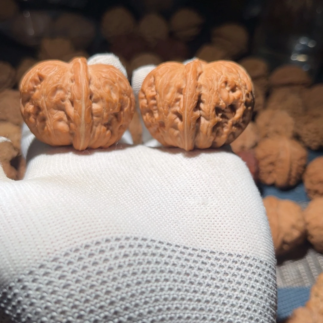 核桃44全品平谷原版