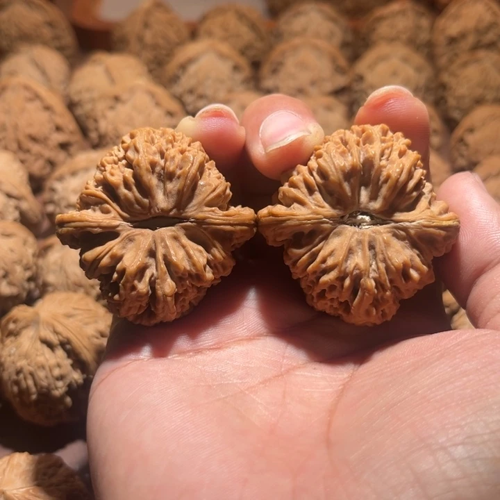 核桃手串/手链还**蓝南疆42+，42尺寸