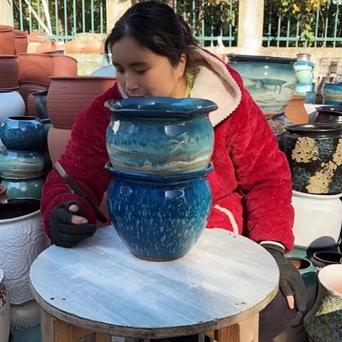 口20 高18两个盆子。