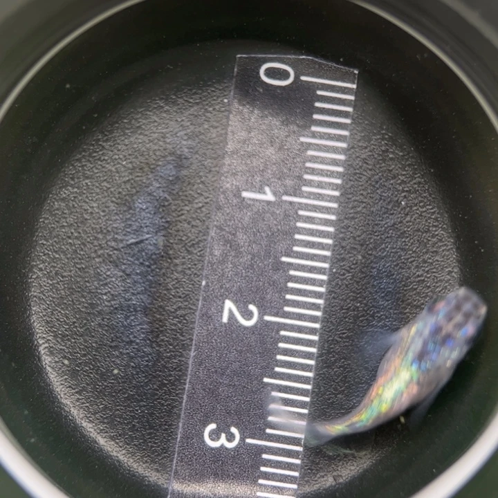 海水鱼蓝宝石球球30号