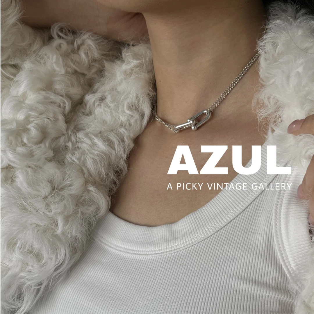 95新 Tiffany & Co./蒂芙尼 Azul-925白银hardwear系列项链37993