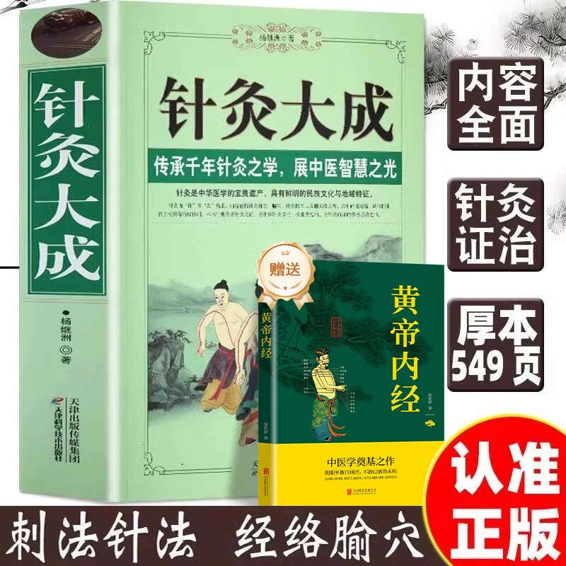 针灸大成原文集注白话解杨继洲艾灸中医针灸基础理论临床医学大全