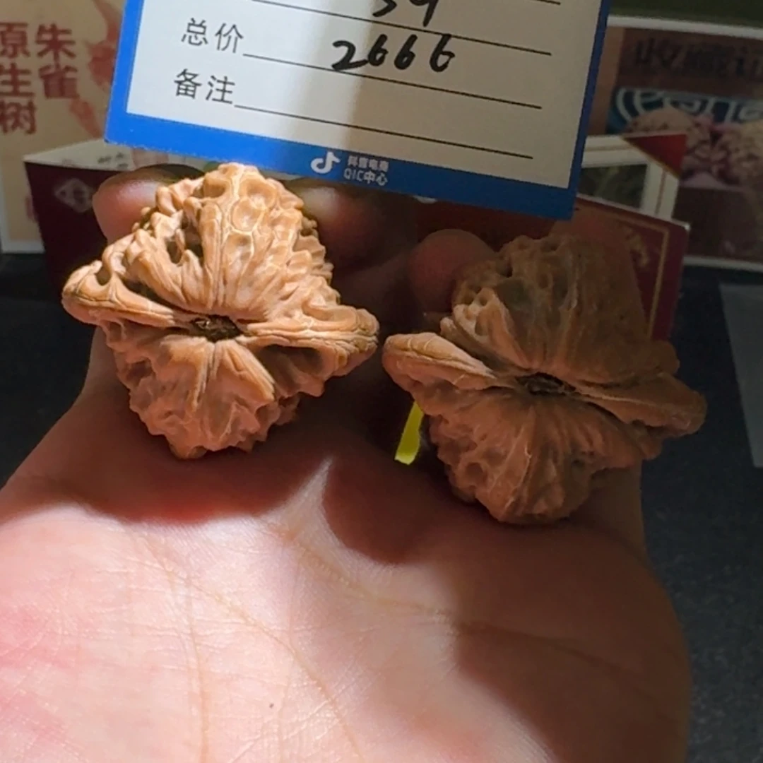 ****i白蛇骨编号994全品