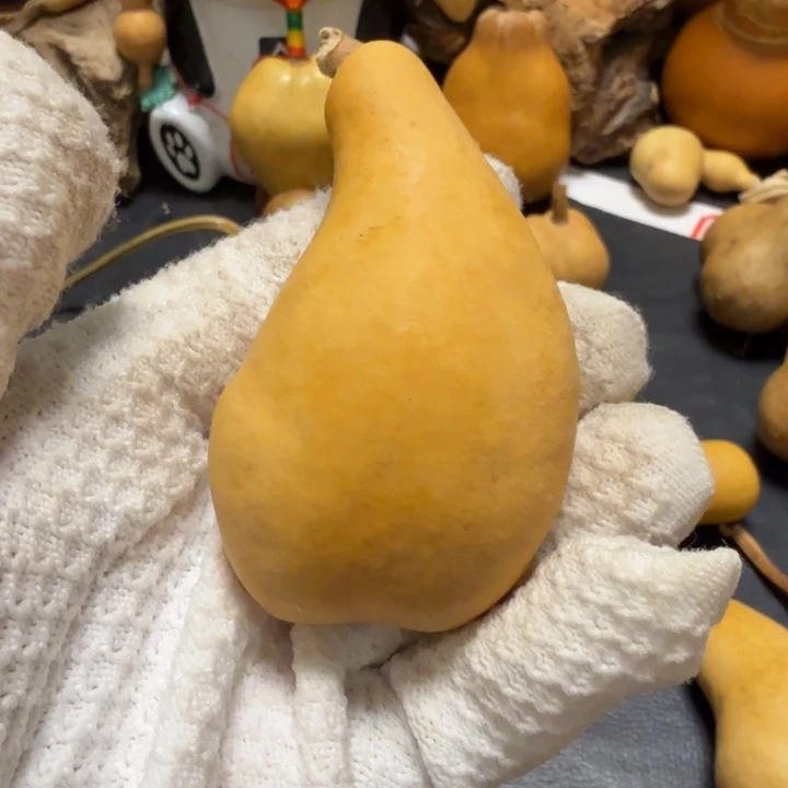 玛***。6666666667777778888