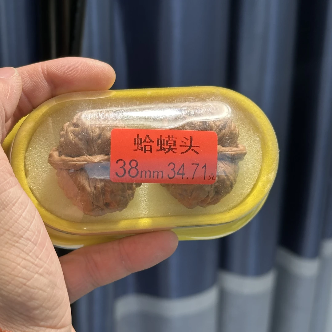 肌肉肥蛙红标蛤蟆头 尺寸可选