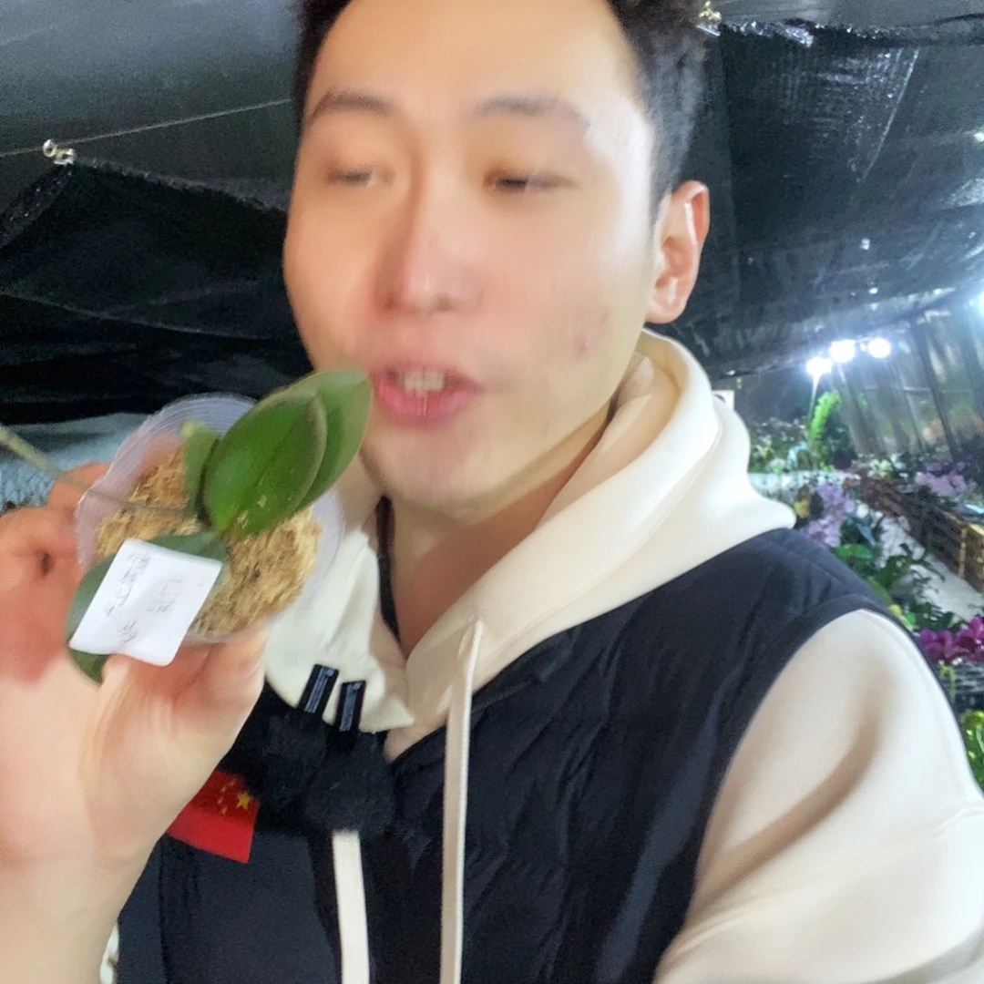 无花朵幻境森林之子