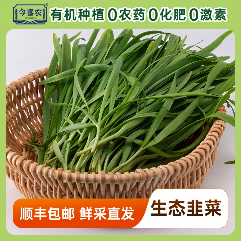 今喜农有机韭菜 农场新鲜现采现发