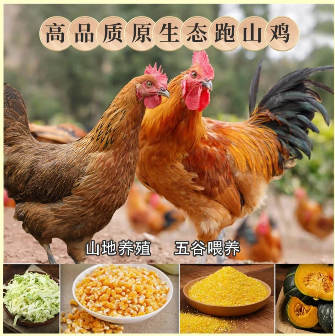 （两只公鸡一只母鸡）正宗农家散养现杀走地鸡农家散养土鸡