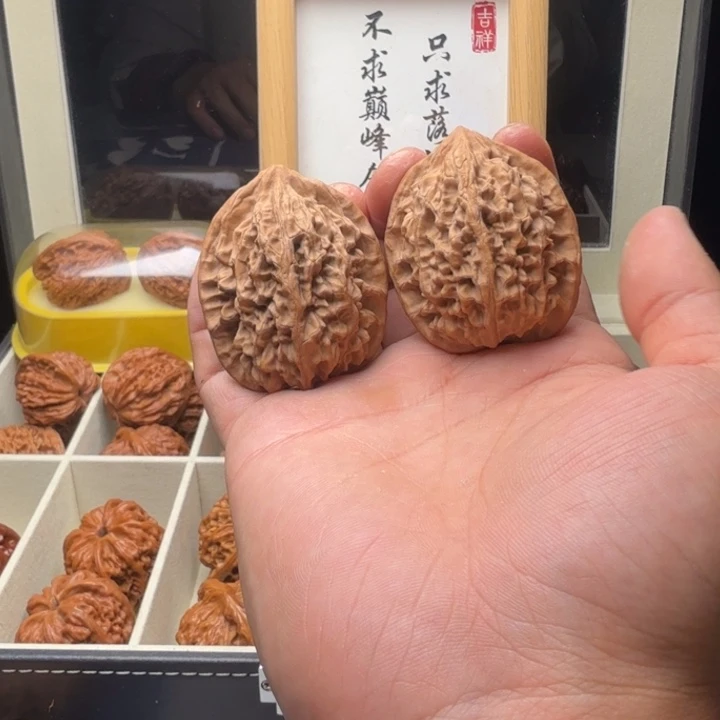 41尺正版宝鸡秦鸡