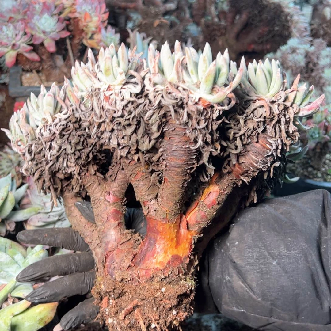 8041哈哈哈哈哈哈哈哈