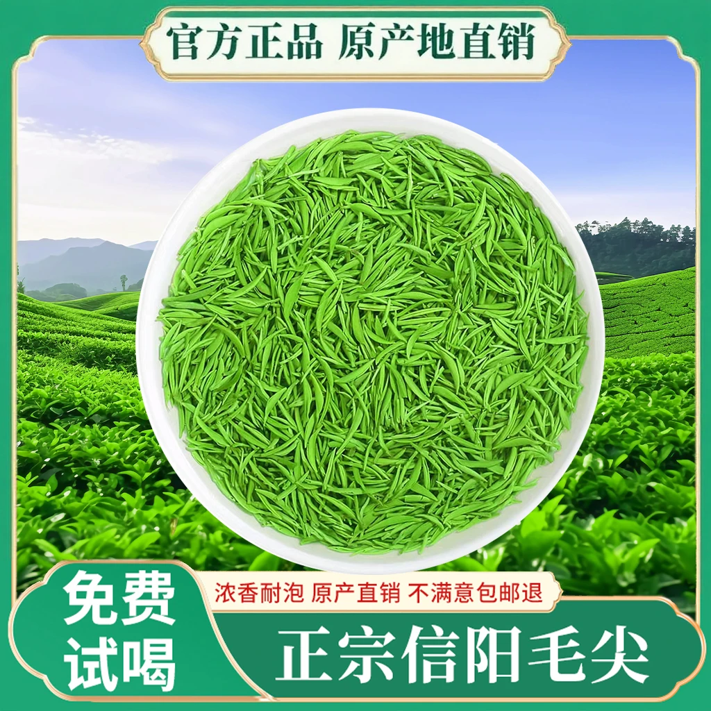 【买半斤送半斤】2025年新茶今年头采信阳毛尖绿茶口粮茶